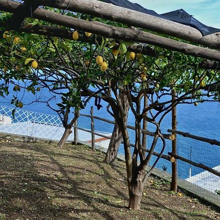 Chez Amelie Villa Amalfi Ngoại thất bức ảnh