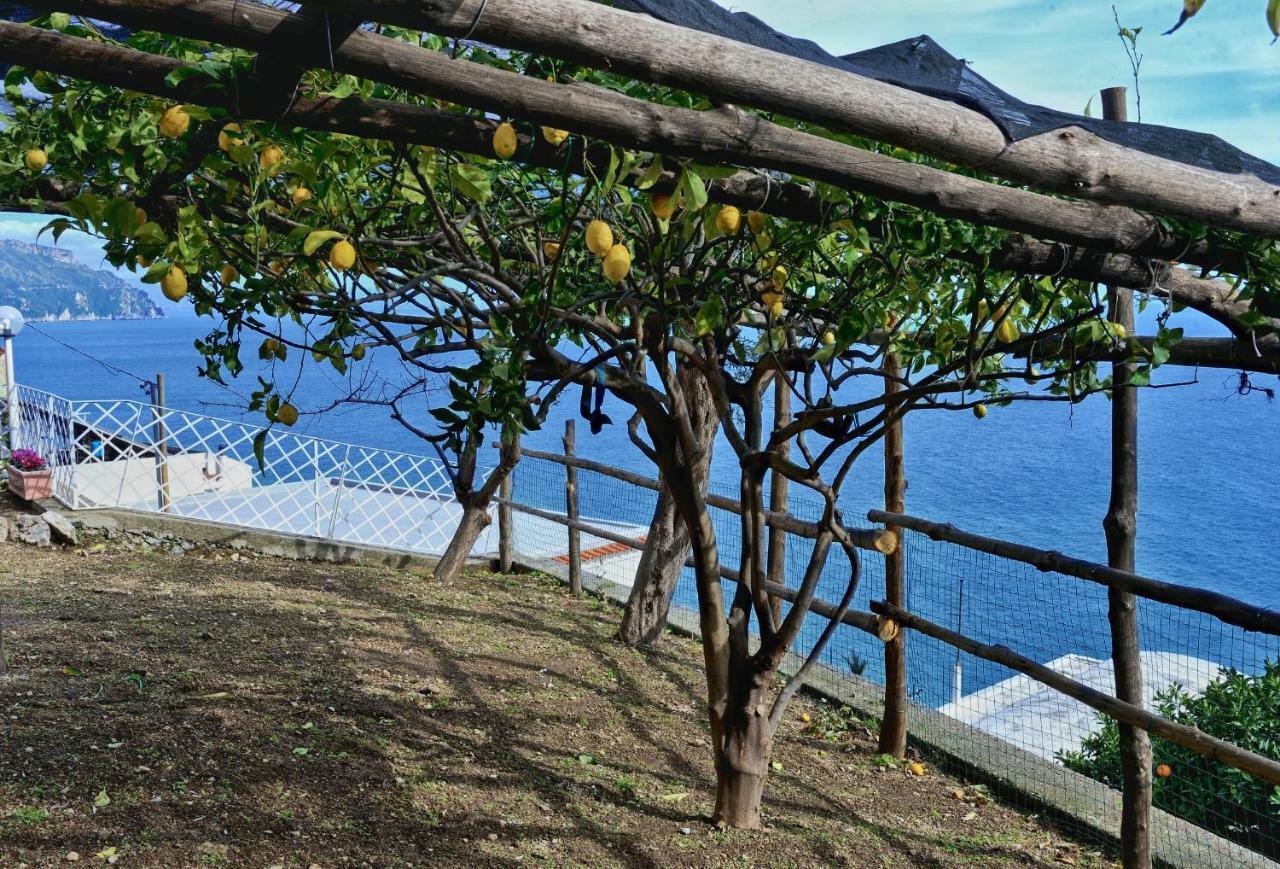 Chez Amelie Villa Amalfi Ngoại thất bức ảnh